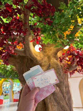 カンドゥー大日に投稿された画像（2026/1/18）