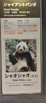 恩賜上野動物園に投稿された画像（2026/1/18）
