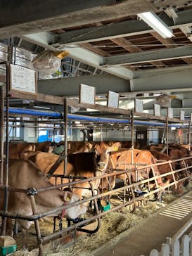 牧歌の里に投稿された画像（2026/1/18）