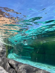 天王寺動物園に投稿された画像（2026/1/18）