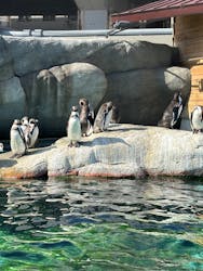 天王寺動物園に投稿された画像（2026/1/18）