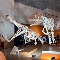 特別展「大絶滅展―生命史のビッグファイブ」に投稿された画像（2026/1/18）