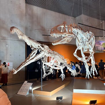 特別展「大絶滅展―生命史のビッグファイブ」に投稿された画像（2026/1/18）