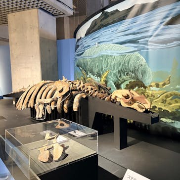 特別展「大絶滅展―生命史のビッグファイブ」に投稿された画像（2026/1/18）