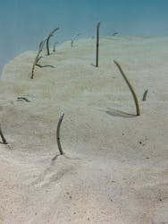 アクアワールド茨城県大洗水族館に投稿された画像（2026/1/18）