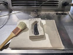 福井県立恐竜博物館に投稿された画像（2026/1/18）