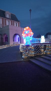 神戸イルミナージュに投稿された画像（2026/1/18）