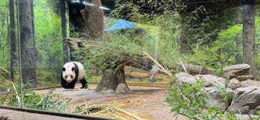 恩賜上野動物園に投稿された画像（2026/1/18）