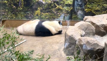 恩賜上野動物園に投稿された画像（2026/1/18）