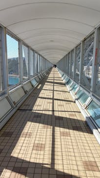 徳島県立 渦の道に投稿された画像（2026/1/18）