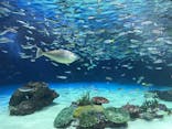 サンシャイン水族館に投稿された画像（2026/1/19）