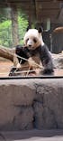 恩賜上野動物園に投稿された画像（2026/1/19）