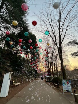 ムーミンバレーパークに投稿された画像（2026/1/18）