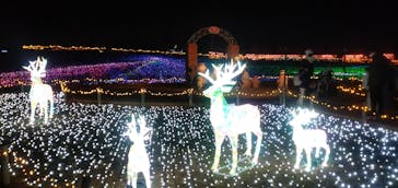 東武動物公園に投稿された画像（2026/1/18）