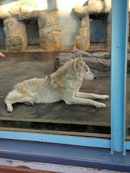 天王寺動物園に投稿された画像（2026/1/18）