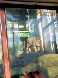 天王寺動物園に投稿された画像（2026/1/18）