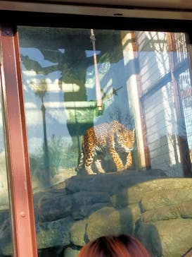 天王寺動物園に投稿された画像（2026/1/18）