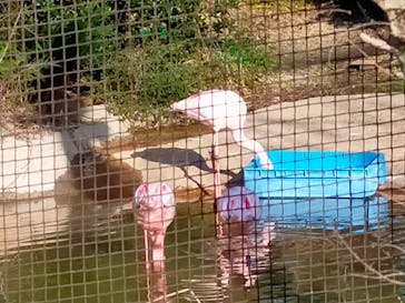 天王寺動物園に投稿された画像（2026/1/18）