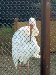 天王寺動物園に投稿された画像（2026/1/18）