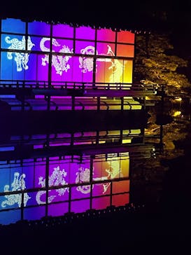 NAKEDヨルマイリ 2025-26 平安神宮に投稿された画像（2026/1/18）