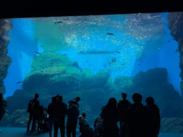 仙台うみの杜水族館に投稿された画像（2026/1/18）