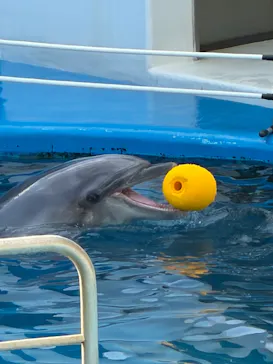 仙台うみの杜水族館に投稿された画像（2026/1/18）