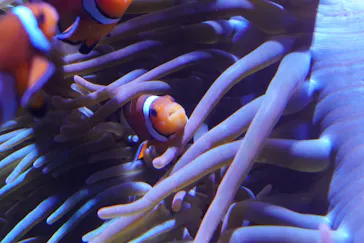 仙台うみの杜水族館に投稿された画像（2026/1/18）