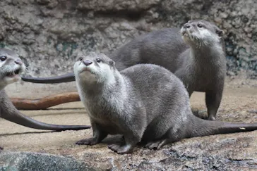 仙台うみの杜水族館に投稿された画像（2026/1/18）