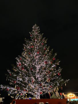 Christmas Market in 横浜赤レンガ倉庫 2025に投稿された画像（2026/1/18）