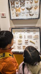 特別展「昆虫MANIAC」（名古屋会場）に投稿された画像（2026/1/19）