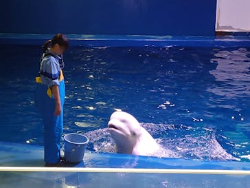 島根県立 しまね海洋館に投稿された画像（2026/1/19）