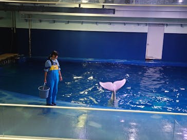 島根県立 しまね海洋館に投稿された画像（2026/1/19）