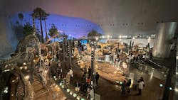 福井県立恐竜博物館に投稿された画像（2026/1/19）