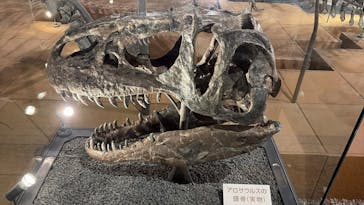 福井県立恐竜博物館に投稿された画像（2026/1/19）