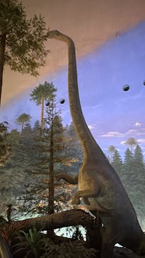 福井県立恐竜博物館に投稿された画像（2026/1/19）