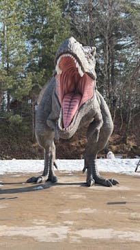 福井県立恐竜博物館に投稿された画像（2026/1/19）