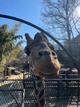 ANIMAL WONDER REZOURT 市原ぞうの国・サユリワールドに投稿された画像（2026/1/19）