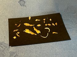 横浜・八景島シーパラダイスに投稿された画像（2026/1/19）