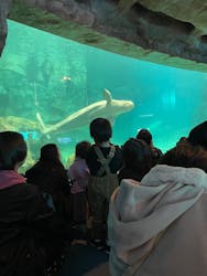 名古屋港水族館に投稿された画像（2026/1/19）
