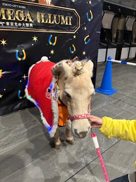 東京メガイルミに投稿された画像（2026/1/19）