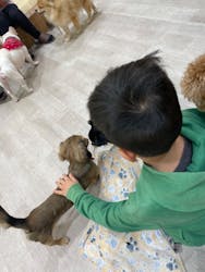 いぬカフェRio 鎌倉小町通り店に投稿された画像（2026/1/19）