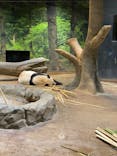 恩賜上野動物園に投稿された画像（2026/1/19）
