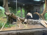 恩賜上野動物園に投稿された画像（2026/1/19）