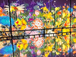 動き出す浮世絵展 OSAKAに投稿された画像（2026/1/19）