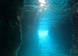 武藤潜水に投稿された画像（2026/1/19）