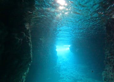 武藤潜水に投稿された画像（2026/1/19）