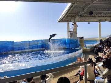 新江ノ島水族館に投稿された画像（2026/1/19）