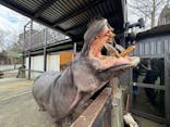 ANIMAL WONDER REZOURT 市原ぞうの国・サユリワールドに投稿された画像（2026/1/19）