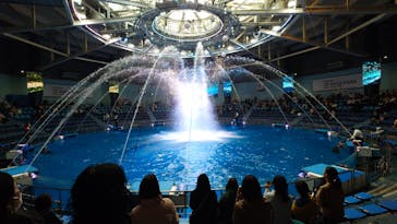 マクセル アクアパーク品川に投稿された画像（2026/1/19）