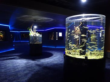 カワスイ 川崎⽔族館に投稿された画像（2026/1/19）